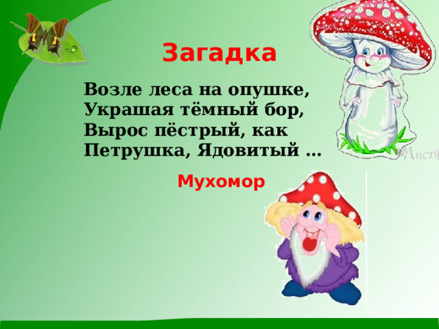 Загадка Возле леса на опушке, Украшая тёмный бор, Вырос пёстрый, как Петрушка, Ядовитый … Мухомор 