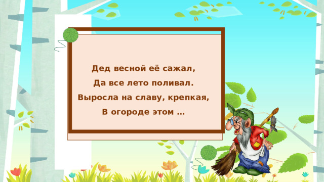 Дед весной её сажал, Да все лето поливал. Выросла на славу, крепкая, В огороде этом … 