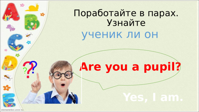 Поработайте в парах. Узнайте ученик ли он Are you a pupil? Yes, I am. 