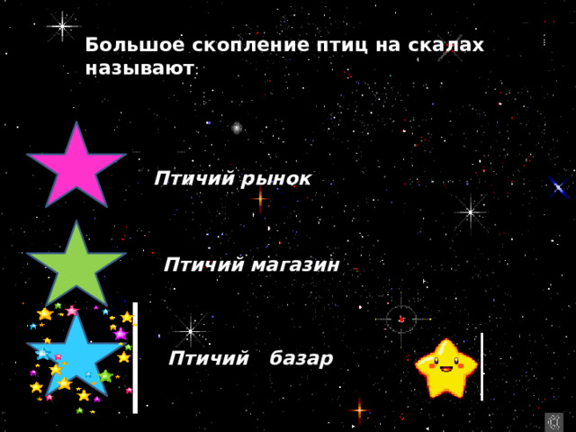 Большое скопление птиц на скалах называют : Птичий рынок  Птичий магазин  Птичий базар 