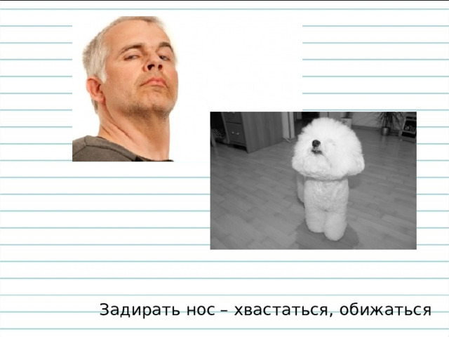Задирать нос – хвастаться, обижаться 