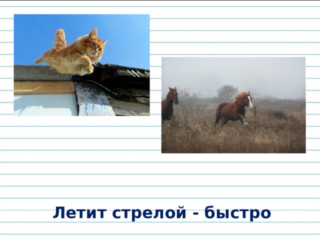 Летит стрелой - быстро 
