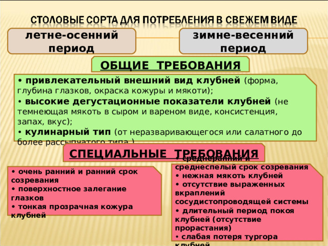летне-осенний период зимне-весенний период ОБЩИЕ ТРЕБОВАНИЯ • привлекательный внешний вид клубней (форма, глубина глазков, окраска кожуры и мякоти); • высокие дегустационные показатели клубней (не темнеющая мякоть в сыром и вареном виде, консистенция, запах, вкус); • кулинарный тип (от неразваривающегося или салатного до более рассыпчатого типа ) СПЕЦИАЛЬНЫЕ ТРЕБОВАНИЯ • среднеранний и среднеспелый срок созревания • нежная мякоть клубней • отсутствие выраженных вкраплений сосудистопроводящей системы • длительный период покоя клубней (отсутствие прорастания) • слабая потеря тургора клубней  • очень ранний и ранний срок созревания • поверхностное залегание глазков • тонкая прозрачная кожура клубней 