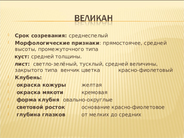 Срок созревания: среднеспелый Морфологические признаки : прямостоячее, средней высоты, промежуточного типа  куст: средней толщины.  лист: светло-зелёный, тусклый, средней величины, закрытого типа венчик цветка  красно-фиолетовый Клубень:  окраска кожуры  желтая  окраска мякоти  кремовая  форма клубня  овально-округлые  световой росток  основание красно-фиолетовое  глубина глазков  от мелких до средних 