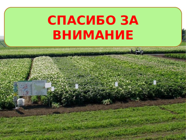 СПАСИБО ЗА ВНИМАНИЕ 3 