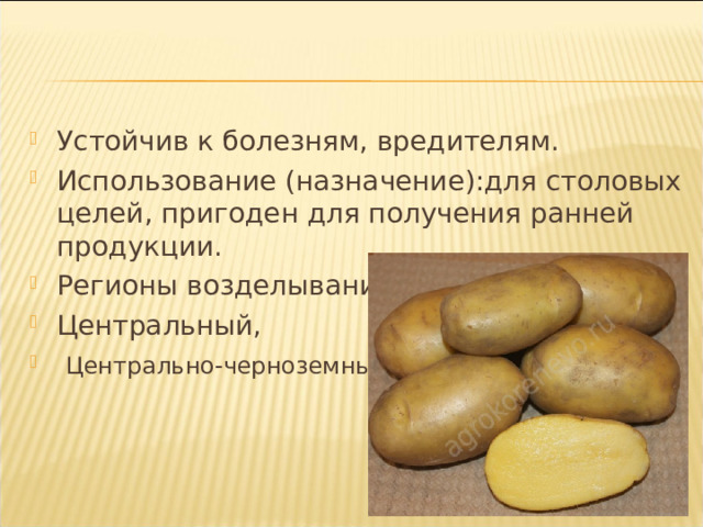 Устойчив к болезням, вредителям. Использование (назначение):для столовых целей, пригоден для получения ранней продукции. Регионы возделывания:  Центральный,  Центрально-черноземный    