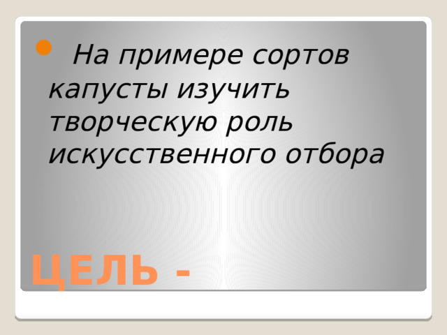  На примере сортов капусты изучить творческую роль искусственного отбора ЦЕЛЬ - 