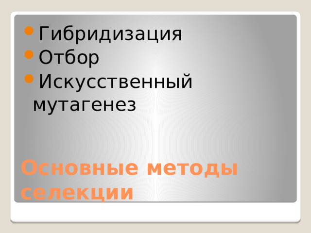 Гибридизация Отбор Искусственный мутагенез Основные методы селекции 