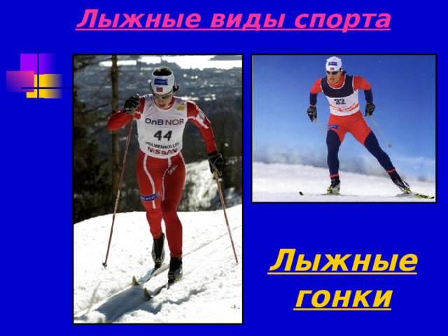 Лыжные виды спорта Лыжные гонки 