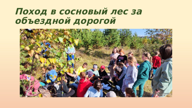 Поход в сосновый лес за объездной дорогой 
