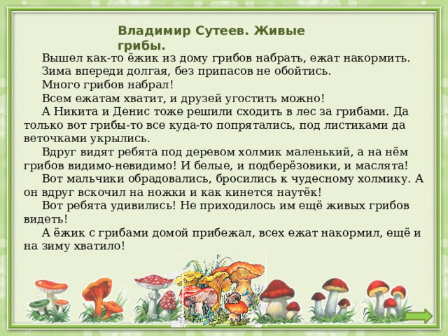 Владимир Сутеев. Живые грибы.  Вышел как-то ёжик из дому грибов набрать, ежат накормить.  Зима впереди долгая, без припасов не обойтись.  Много грибов набрал!  Всем ежатам хватит, и друзей угостить можно!  А Никита и Денис тоже решили сходить в лес за грибами. Да только вот грибы-то все куда-то попрятались, под листиками да веточками укрылись.  Вдруг видят ребята под деревом холмик маленький, а на нём грибов видимо-невидимо! И белые, и подберёзовики, и маслята!  Вот мальчики обрадовались, бросились к чудесному холмику. А он вдруг вскочил на ножки и как кинется наутёк!  Вот ребята удивились! Не приходилось им ещё живых грибов видеть!  А ёжик с грибами домой прибежал, всех ежат накормил, ещё и на зиму хватило! 