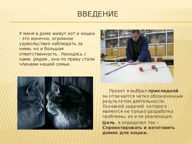 Введение У меня в доме живут кот и кошка - это конечно, огромное удовольствие наблюдать за ними, но и большая ответственность . Находясь с нами рядом , они по праву стали членами нашей семьи.  Проект я выбрал прикладной он отличается четко обозначенным результатом деятельности. Основной задачей которого является не только разработка проблемы, но и ее реализация. Цель я определил так - Спроектировать и изготовить домик для кошки. 