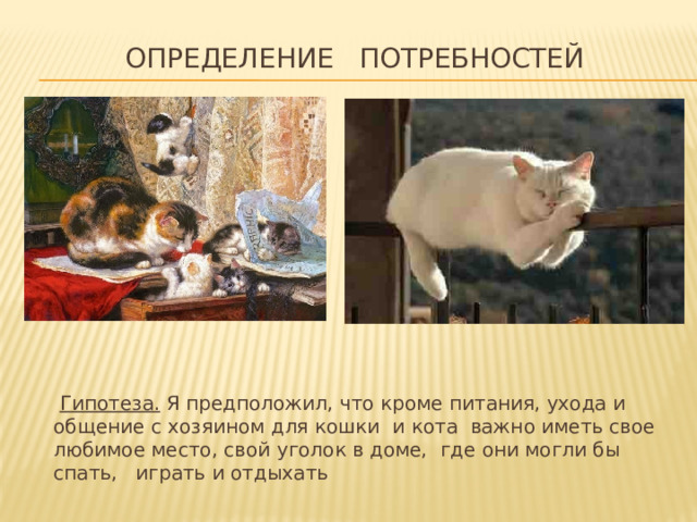 Определение потребностей  Гипотеза. Я предположил, что кроме питания, ухода и общение с хозяином для кошки и кота важно иметь свое любимое место, свой уголок в доме, где они могли бы спать, играть и отдыхать 