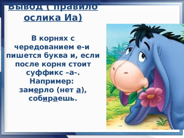 Вывод ( правило ослика Иа)   В корнях с чередованием е-и пишется буква и, если после корня стоит суффикс –а-.  Например:  зам е рло (нет а ), соб и р а ешь.      