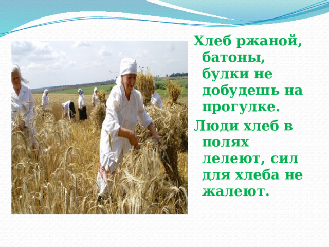 Хлеб ржаной, батоны, булки не добудешь на прогулке. Люди хлеб в полях лелеют, сил для хлеба не жалеют. 