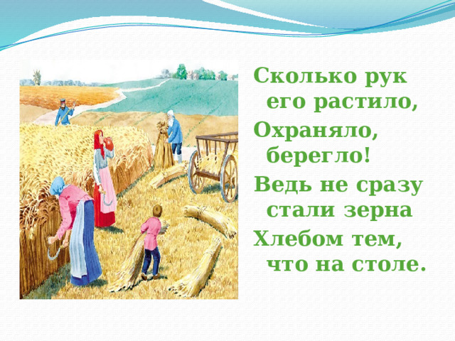 Сколько рук его растило, Охраняло, берегло! Ведь не сразу стали зерна Хлебом тем, что на столе. 
