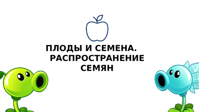 ПЛОДЫ И СЕМЕНА. РАСПРОСТРАНЕНИЕ СЕМЯН 