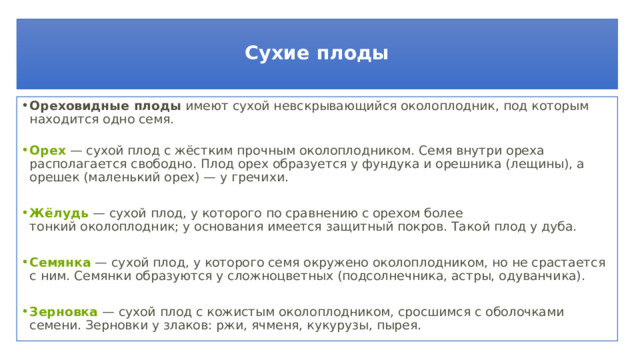  Сухие плоды   Ореховидные плоды  имеют сухой невскрывающийся околоплодник, под которым находится одно семя.    Орех  — сухой плод с жёстким прочным околоплодником. Семя внутри ореха располагается свободно. Плод орех образуется у фундука и орешника (лещины), а орешек (маленький орех) — у гречихи.   Жёлудь  — сухой плод, у которого по сравнению с орехом более тонкий околоплодник; у основания имеется защитный покров. Такой плод у дуба.     Семянка  — сухой плод, у которого семя окружено околоплодником, но не срастается с ним. Семянки образуются у сложноцветных (подсолнечника, астры, одуванчика).     Зерновка  — сухой плод с кожистым околоплодником, сросшимся с оболочками семени. Зерновки у злаков: ржи, ячменя, кукурузы, пырея. 
