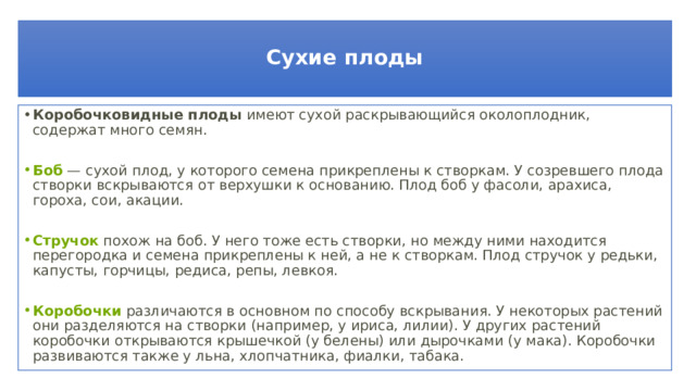  Сухие плоды   Коробочковидные плоды  имеют сухой раскрывающийся околоплодник, содержат много семян.   Боб  — сухой плод, у которого семена прикреплены к створкам. У созревшего плода створки вскрываются от верхушки к основанию. Плод боб у фасоли, арахиса, гороха, сои, акации.     Стручок  похож на боб. У него тоже есть створки, но между ними находится перегородка и семена прикреплены к ней, а не к створкам. Плод стручок у редьки, капусты, горчицы, редиса, репы, левкоя. Коробочки  различаются в основном по способу вскрывания. У некоторых растений они разделяются на створки (например, у ириса, лилии). У других растений коробочки открываются крышечкой (у белены) или дырочками (у мака). Коробочки развиваются также у льна, хлопчатника, фиалки, табака. 