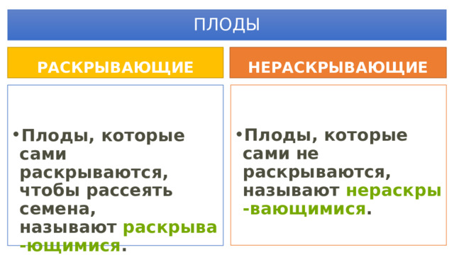 ПЛОДЫ РАСКРЫВАЮЩИЕ НЕРАСКРЫВАЮЩИЕ   Плоды, которые сами не раскрываются, называют  нераскры-вающимися .   Плоды, которые сами раскрываются, чтобы рассеять семена, называют  раскрыва-ющимися . 