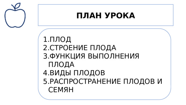ПЛАН УРОКА ПЛОД СТРОЕНИЕ ПЛОДА ФУНКЦИЯ ВЫПОЛНЕНИЯ ПЛОДА ВИДЫ ПЛОДОВ РАСПРОСТРАНЕНИЕ ПЛОДОВ И СЕМЯН ПЛОДЫ И СЕМЕНА. РАСПРОСТРАНЕНИЕ СЕМЯН 