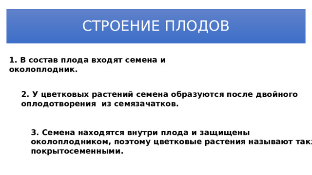 СТРОЕНИЕ ПЛОДОВ 1. В состав плода входят семена и околоплодник.  2. У цветковых растений семена образуются после двойного оплодотворения  из семязачатков. 3. Семена находятся внутри плода и защищены околоплодником, поэтому цветковые растения называют также покрытосеменными. 