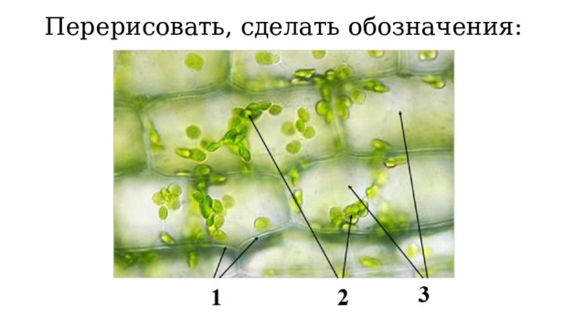 Перерисовать, сделать обозначения: 