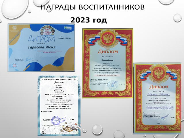 2023 год 
