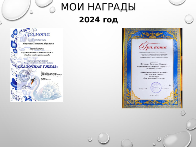 Мои награды 2024 год 