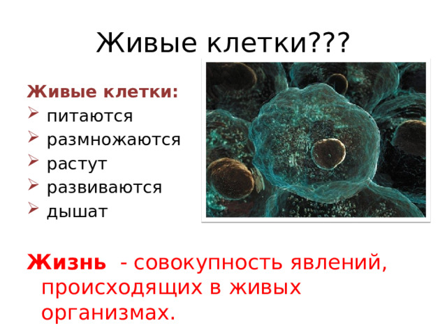 Живые клетки??? Живые клетки:  питаются  размножаются  растут  развиваются   дышат Жизнь - совокупность явлений, происходящих в живых организмах. 