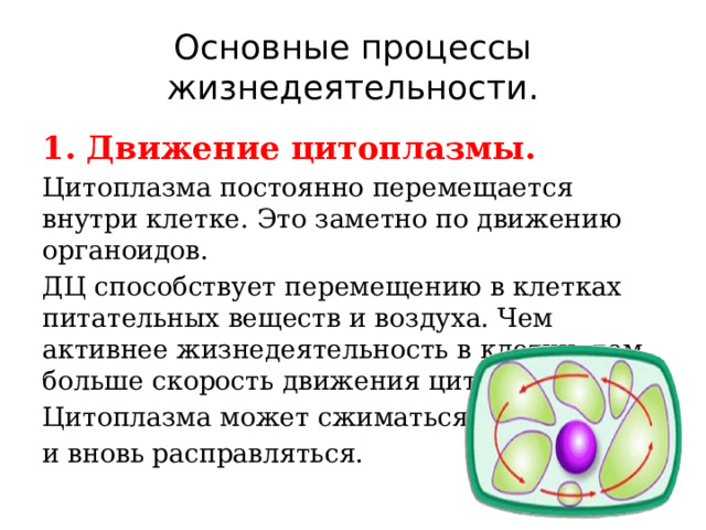 Основные процессы жизнедеятельности. 1. Движение цитоплазмы. Цитоплазма постоянно перемещается внутри клетке. Это заметно по движению органоидов. ДЦ способствует перемещению в клетках питательных веществ и воздуха. Чем активнее жизнедеятельность в клетки, тем больше скорость движения цитоплазмы. Цитоплазма может сжиматься и вновь расправляться. 