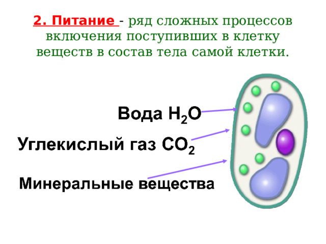 2. Питание - ряд сложных процессов включения поступивших в клетку веществ в состав тела самой клетки.   