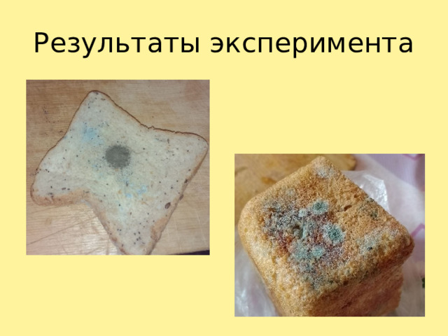 Результаты эксперимента 