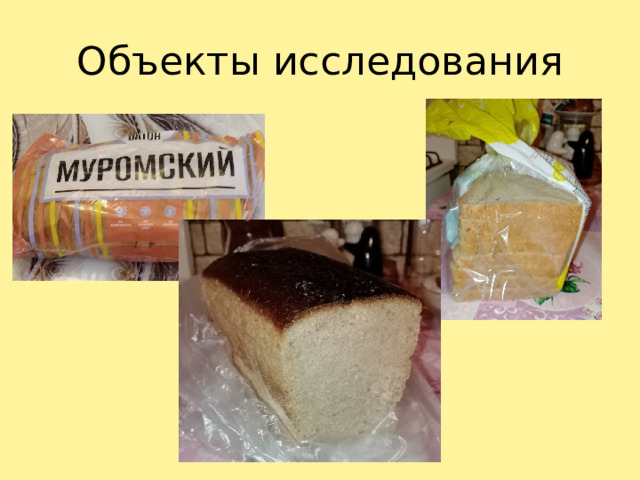 Объекты исследования 