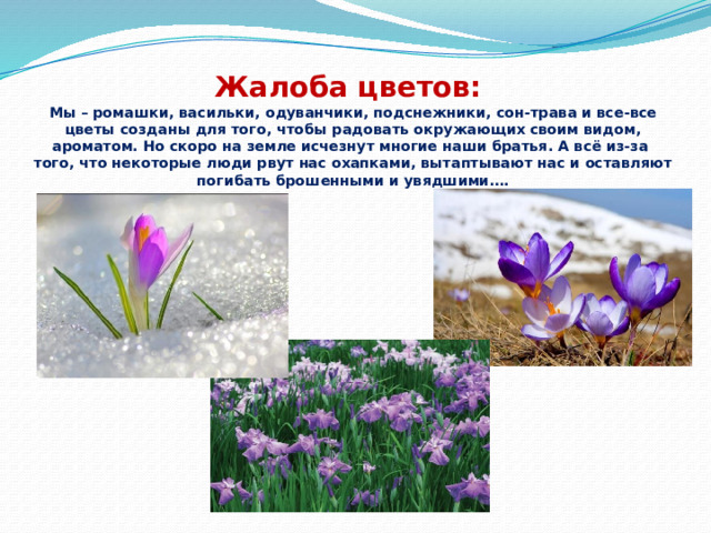Жалоба цветов:  Мы – ромашки, васильки, одуванчики, подснежники, сон-трава и все-все цветы созданы для того, чтобы радовать окружающих своим видом, ароматом. Но скоро на земле исчезнут многие наши братья. А всё из-за того, что некоторые люди рвут нас охапками, вытаптывают нас и оставляют погибать брошенными и увядшими….   