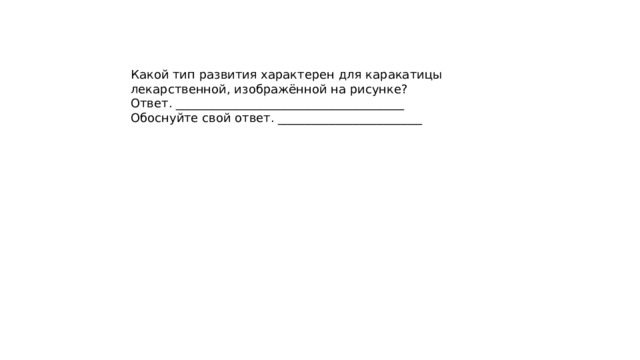 Какой тип развития характерен для каракатицы лекарственной, изображённой на рисунке? Ответ. ______________________________________ Обоснуйте свой ответ. ________________________ 