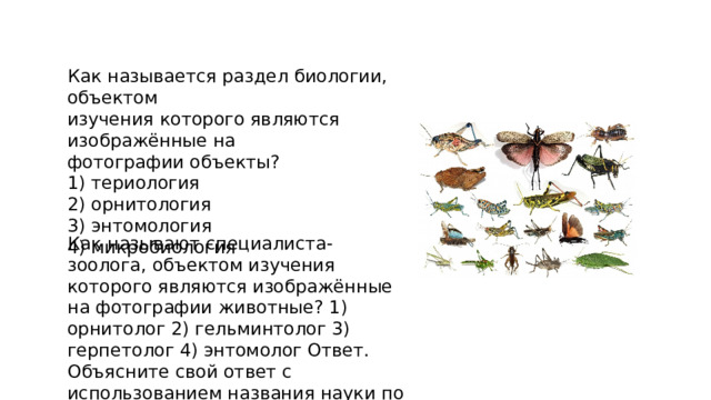 Как называется раздел биологии, объектом изучения которого являются изображённые на фотографии объекты? 1) териология 2) орнитология 3) энтомология 4) микробиология Как называют специалиста-зоолога, объектом изучения которого являются изображённые на фотографии животные? 1) орнитолог 2) гельминтолог 3) герпетолог 4) энтомолог Ответ. Объясните свой ответ с использованием названия науки по изучению этих животных. 