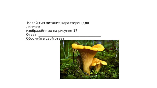  Какой тип питания характерен для лисичек изображённых на рисунке 1? Ответ. ______________________________________ Обоснуйте свой ответ. __ 