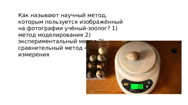 Как называют научный метод, которым пользуется изображённый на фотографии учёный-зоолог? 1) метод моделирования 2) экспериментальный метод 3) сравнительный метод 4) метод измерения 