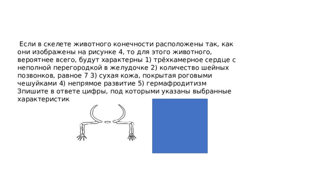  Если в скелете животного конечности расположены так, как они изображены на рисунке 4, то для этого животного, вероятнее всего, будут характерны 1) трёхкамерное сердце с неполной перегородкой в желудочке 2) количество шейных позвонков, равное 7 3) сухая кожа, покрытая роговыми чешуйками 4) непрямое развитие 5) гермафродитизм Зпишите в ответе цифры, под которыми указаны выбранные характеристики. 