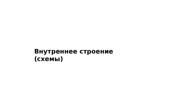 Внутреннее строение (схемы) 