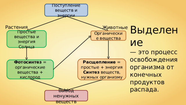 Поступление веществ и энергии Выделение — это процесс освобождения организма от конечных продуктов распада. Растения Животные Простые вещества и энергия Солнца Органические вещества Расщепление = простые + энергия Синтез веществ, нужных организму Фотосинтез = органические вещества + кислород Вывод ненужных веществ 