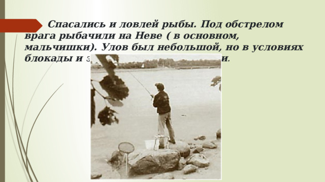  Спасались и ловлей рыбы. Под обстрелом врага рыбачили на Неве ( в основном, мальчишки). Улов был небольшой, но в условиях блокады и эти крохи спасали жизни . 