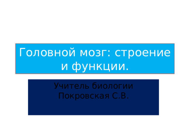 Головной мозг: строение и функции. Учитель биологии Покровская С.В. 
