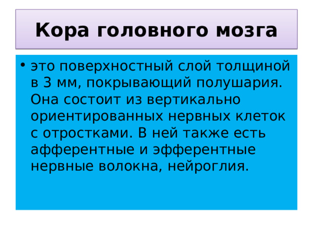 Кора головного мозга это поверхностный слой толщиной в 3 мм, покрывающий полушария. Она состоит из вертикально ориентированных нервных клеток с отростками. В ней также есть афферентные и эфферентные нервные волокна, нейроглия. 
