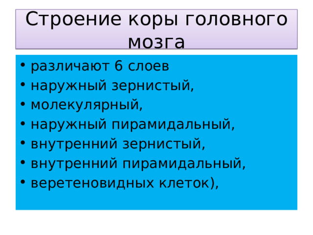 Строение коры головного мозга различают 6 слоев наружный зернистый, молекулярный, наружный пирамидальный, внутренний зернистый, внутренний пирамидальный, веретеновидных клеток), 