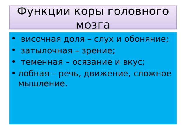 Функции коры головного мозга  височная доля – слух и обоняние;  затылочная – зрение;  теменная – осязание и вкус; лобная – речь, движение, сложное мышление. 