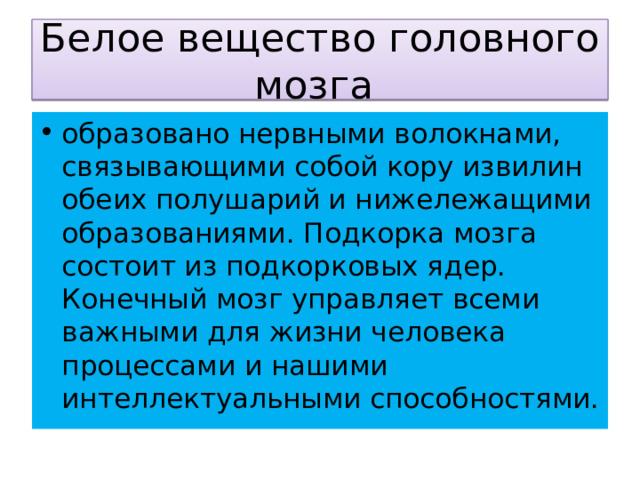 Белое вещество головного мозга образовано нервными волокнами, связывающими собой кору извилин обеих полушарий и нижележащими образованиями. Подкорка мозга состоит из подкорковых ядер. Конечный мозг управляет всеми важными для жизни человека процессами и нашими интеллектуальными способностями. 