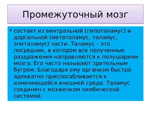 Промежуточный мозг состоит из вентральной (гипоталамус) и дорсальной (метаталамус, таламус, эпиталамус) части. Таламус – это посредник, в котором все полученные раздражения направляются к полушариям мозга. Его часто называют зрительным бугром. Благодаря ему организм быстро адекватно приспосабливается к изменяющейся внешней среде. Таламус соединен с мозжечком лимбической системой. 
