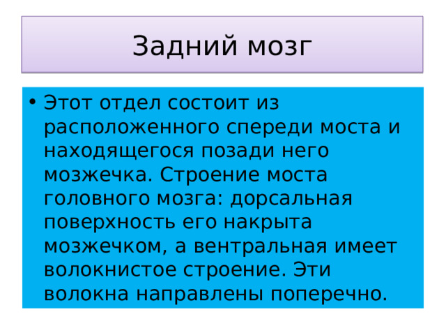 Задний мозг Этот отдел состоит из расположенного спереди моста и находящегося позади него мозжечка. Строение моста головного мозга: дорсальная поверхность его накрыта мозжечком, а вентральная имеет волокнистое строение. Эти волокна направлены поперечно. 